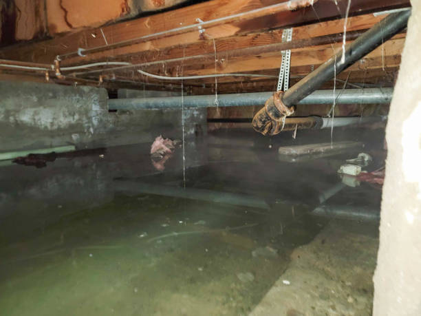 Best Fire Damage Restoration  in Astia, OR