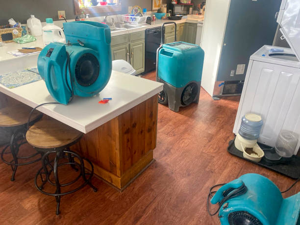 Best Commercial water damage restoration  in Astia, OR