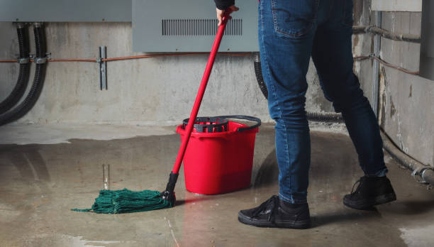 Best Flood damage cleanup  in Astia, OR