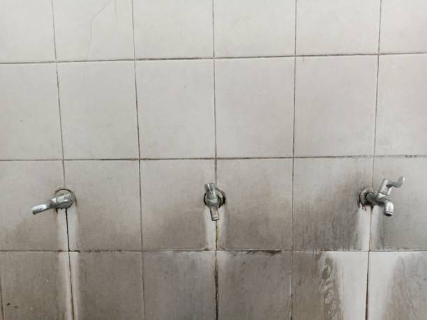 Best Sewage cleanup and water damage restoration  in Astia, OR